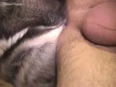 Bisexual chap with an brute fuck buddy